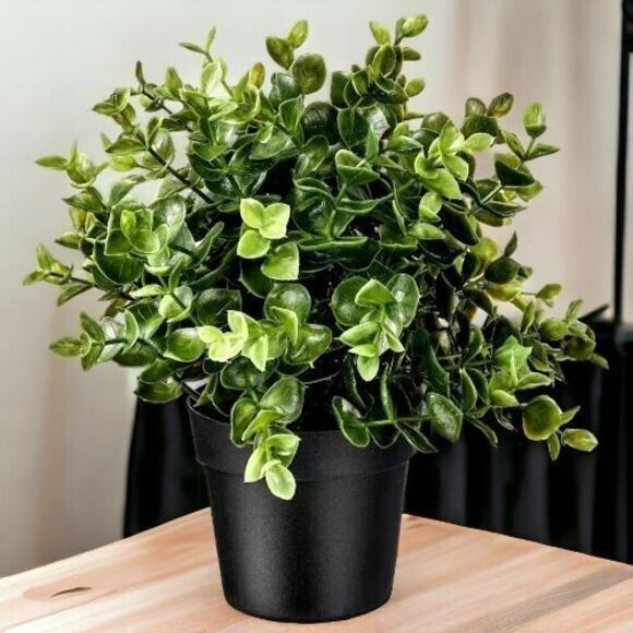 IKEA FEJKA Artificial Potted Plant Oregano 3 ½ " - Picture 1 of 7